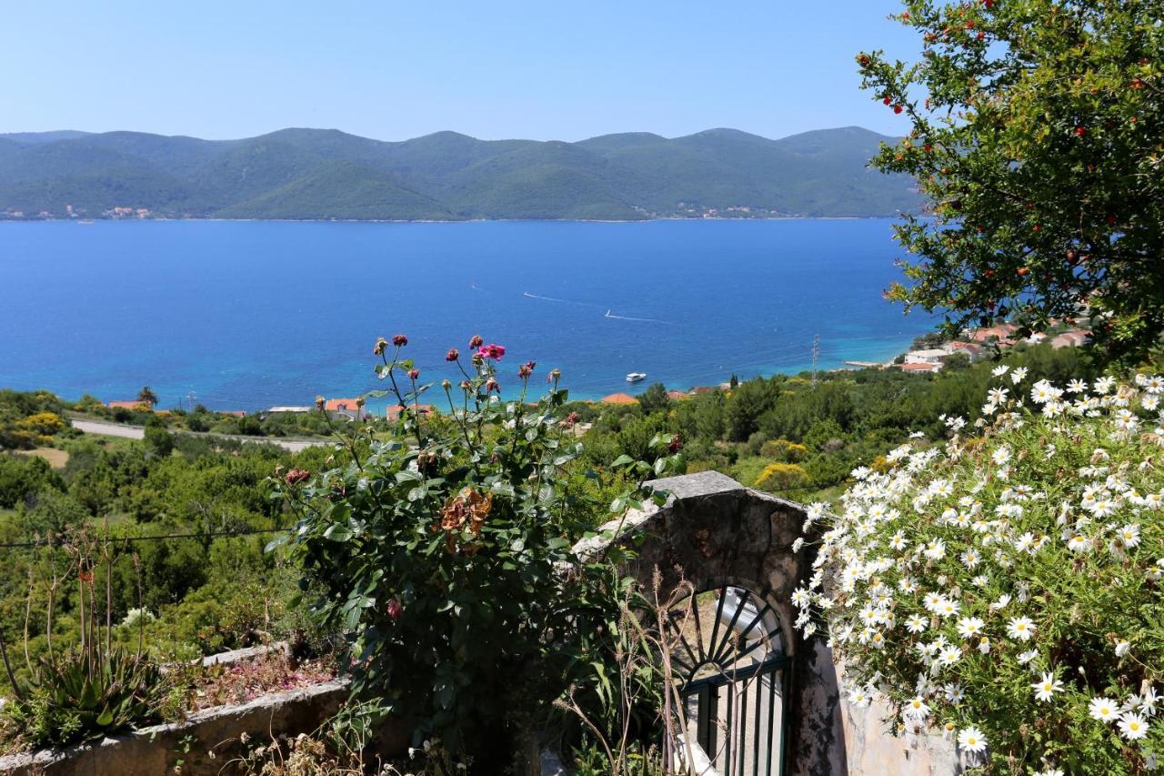 Holiday House With A Parking Space Viganj - Podac, Peljesac - 10141 מראה חיצוני תמונה